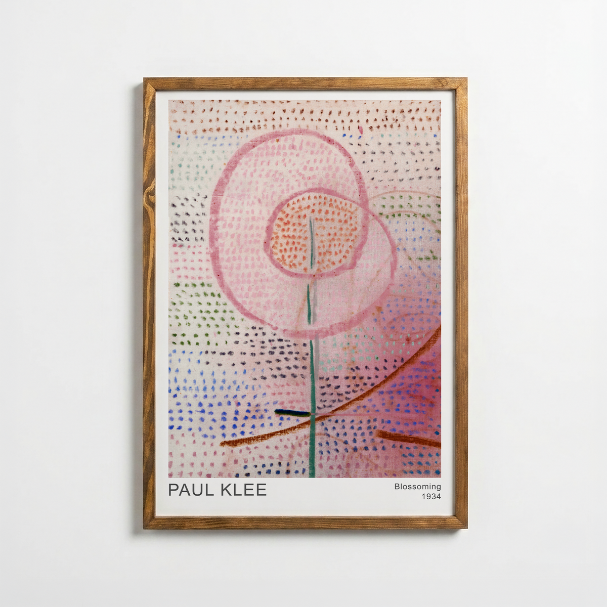 KLEE Blossoming