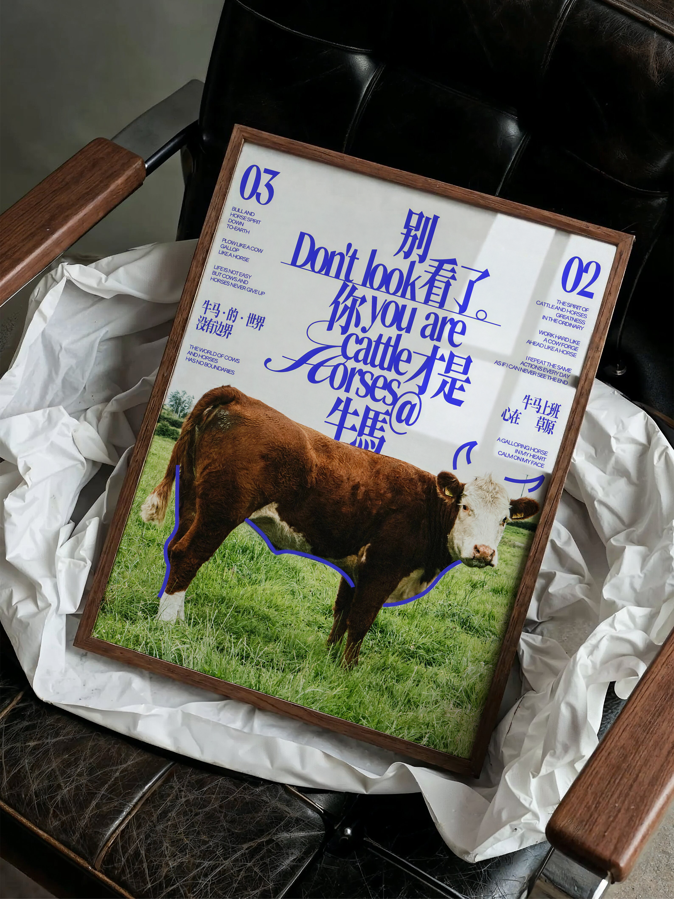 Don’t Look, You Are Cattle and Horses