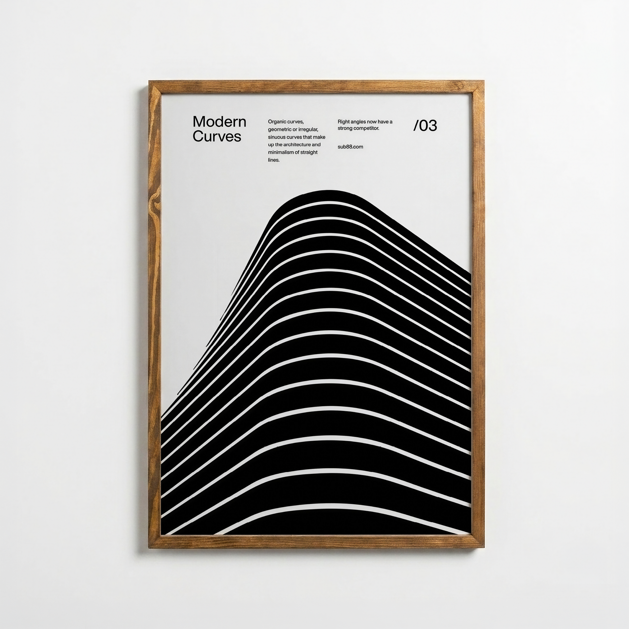 Modern Eğriler – Geometrik Soyut Poster