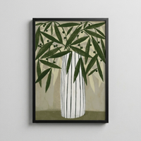 Olive Grove