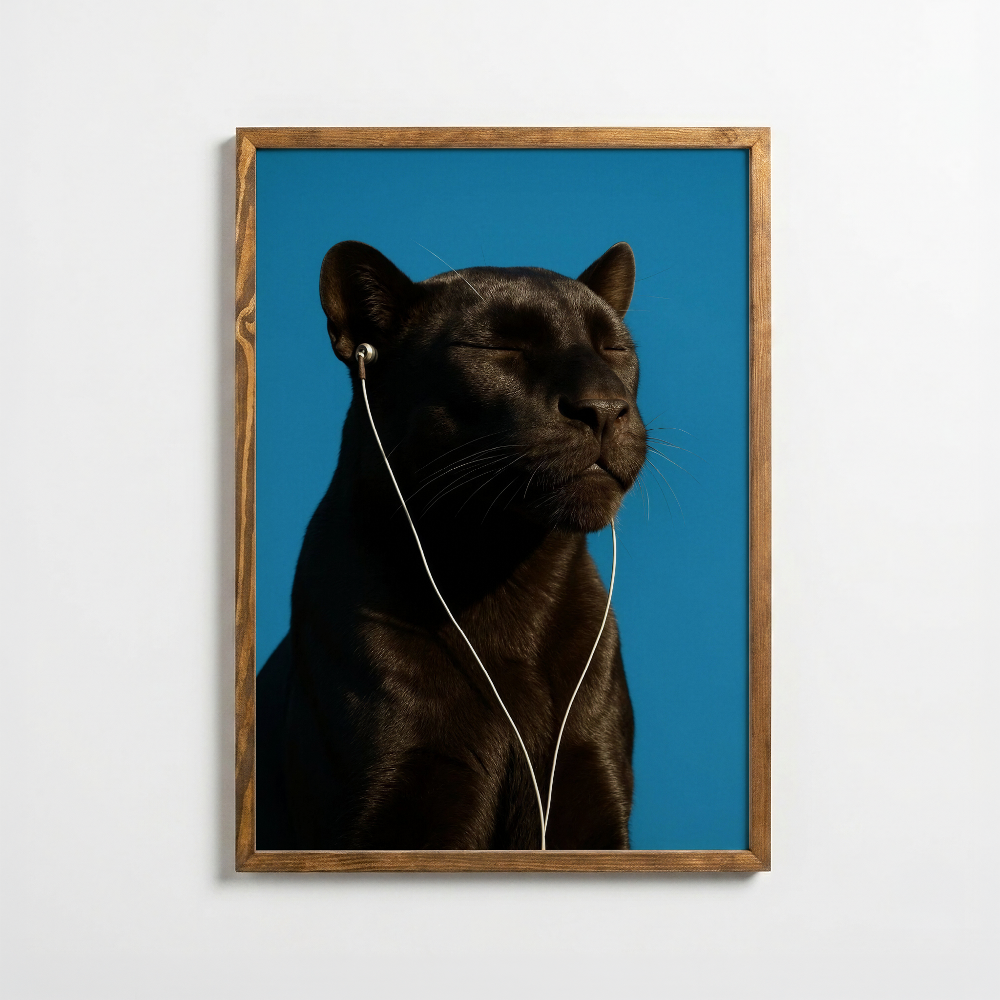 Siyah Panter – Sakin Dinleyiş Portresi