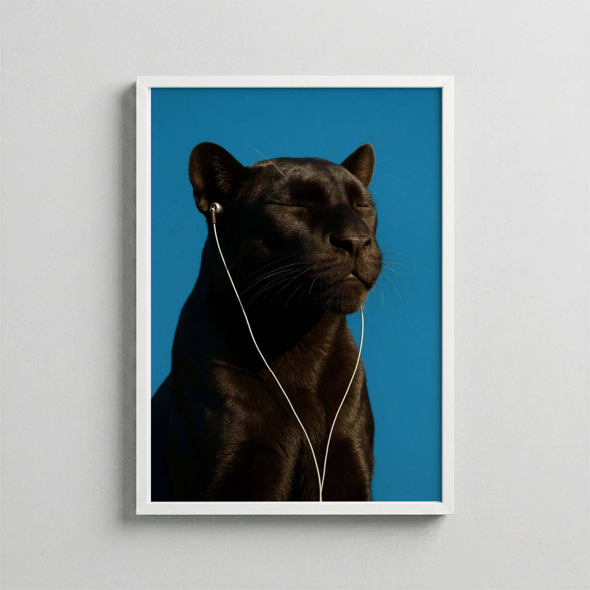 Siyah Panter – Sakin Dinleyiş Portresi