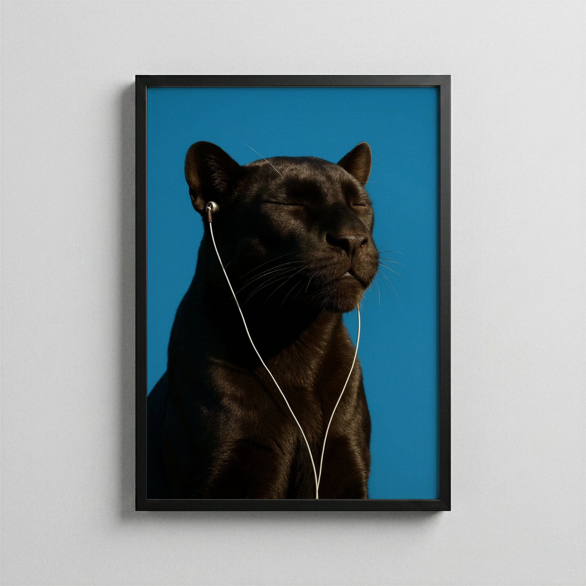 Siyah Panter – Sakin Dinleyiş Portresi