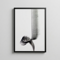Stroke — Abstract Poster
