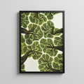 Treetops — Nature Poster